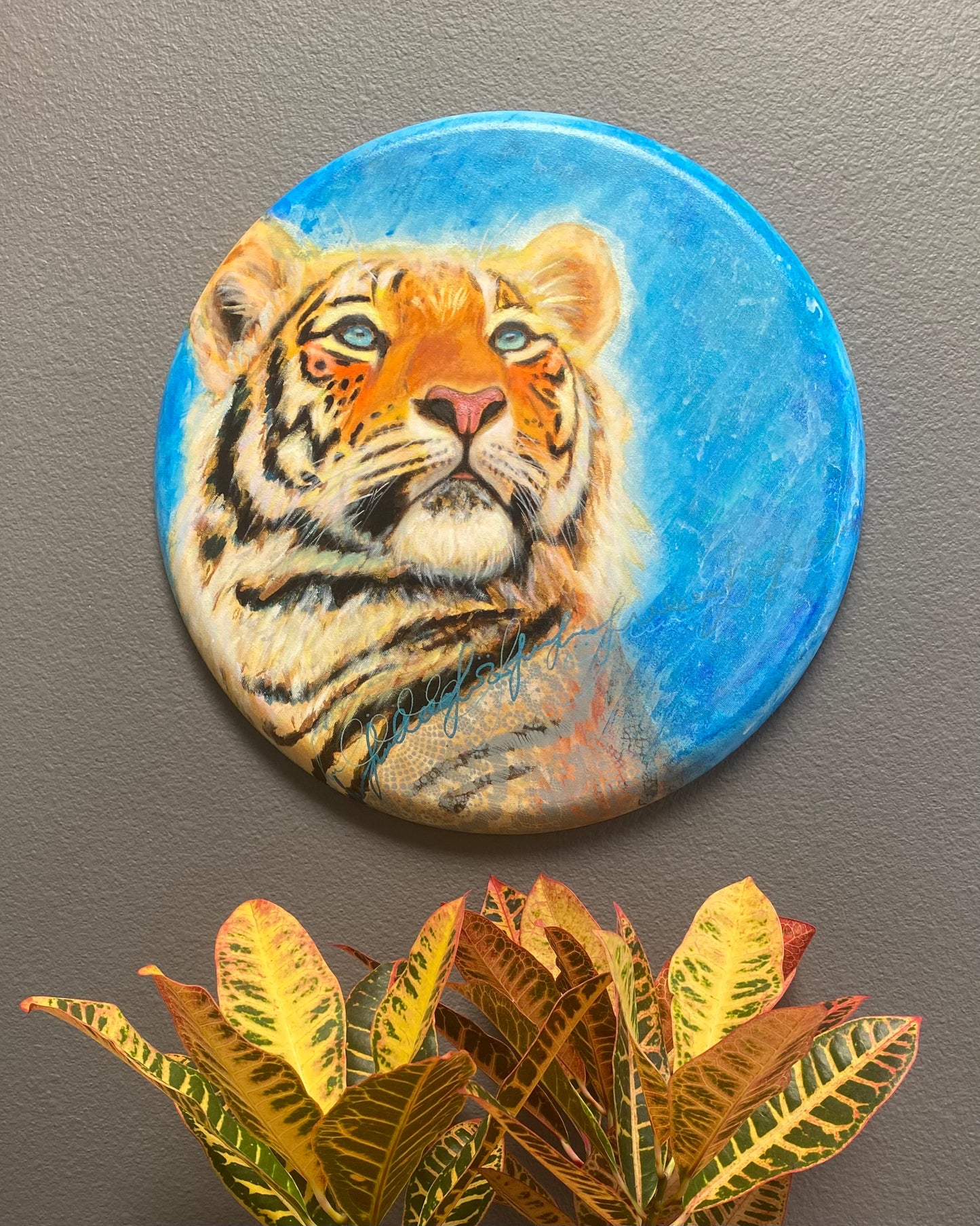 Tiger in Light Blue