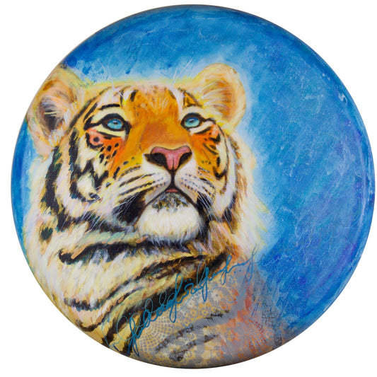 Tiger in Light Blue